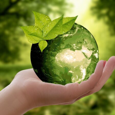 Save the environment